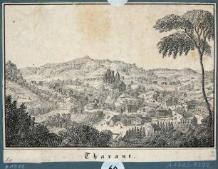 Blick über Tharandt auf Kirche und Ruine