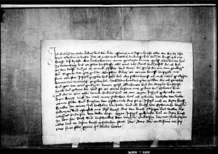 Endris von Weiler verkauft an Graf Eberhard III. alle seine Rechte in Dorf und Mark Auenstein samt der Gnade, die ihm König Ruprecht verliehen hat (WR 6919), um 200 fl.