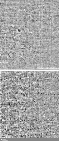 Lilienschild + IESV / LW = S.3/4+9/10