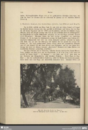 Römische Brücke bei Rapallo