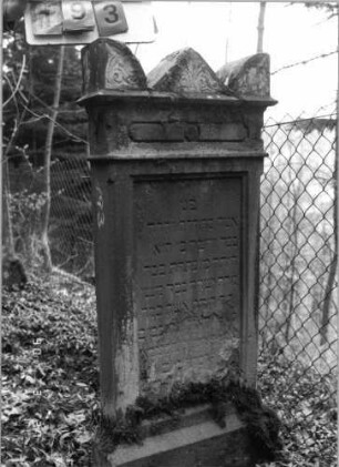Grabstein 193 (neu: 614)
