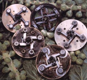 Fotografie: Gartenbautechnik-Freiland, Erntetechnik, Kopfkohl