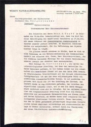 Dankesesschreiben Württ. Naturaliensammlung an Ministerpräsident und Kultminister bezüglich Präparat Stenopterygius crassicostatus