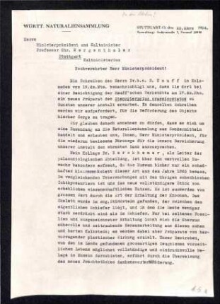 Dankesesschreiben Württ. Naturaliensammlung an Ministerpräsident und Kultminister bezüglich Präparat Stenopterygius crassicostatus