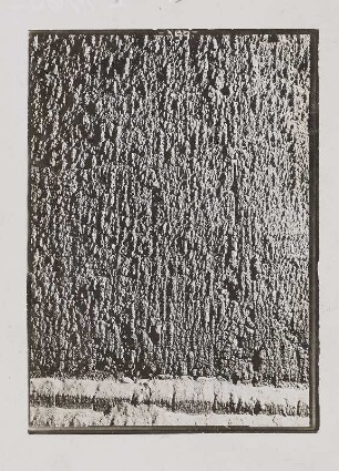 Kessel 26, W. II ( Kohlenstaubfeuerung), Ansätze an der Brennkammer-Rückwand