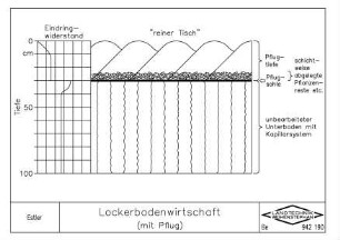 Lockerbodenwirtschaft (mit Pflug)
