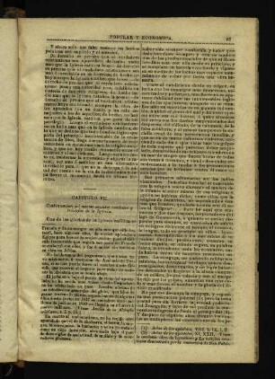 Capitulo VII. Continuacion del mismo asunto: combates y triunfos de la Iglesia.