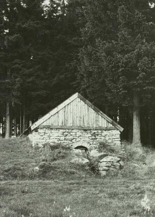 Johanngeorgenstadt-Steinbach, Tannenbaumstolln, Kaue am Waldrand