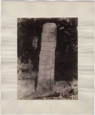 Stele 2 (C), Seitenansicht. "Oben das gewöhnliche Zeichen der Überschrift. Die Hand, linke Kolumne, Zeichen h und g."