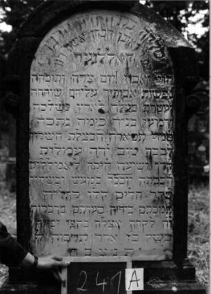 Grabstein 241 [Nir S. 164 Nr. 15.21]: Grabstein 241A [Nir S. 164 Nr. 15.21]
