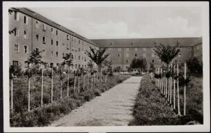 Feierabendheim Martin-Andersen-Nexö, Leipzig, Rosengarten
