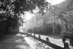 Eichstetten: Heuwagen im Gegenlicht und Bach