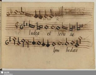 Anonymus: Judaea et Jerusalem nolite timere