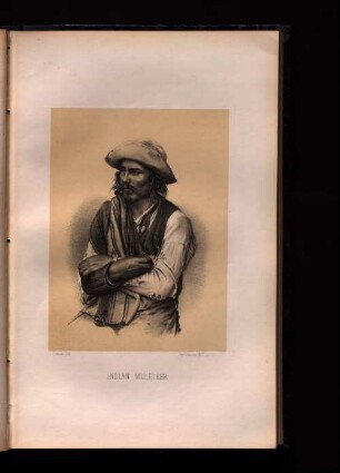 Indian Muleteer