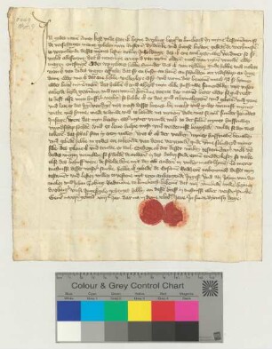 Testament des Bürgers Heyne Dreyling, beglaubigt durch die Ratsmannen Johan van der Molen und Johan Tobing.
