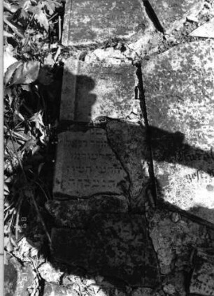 Grabstein 58 (Index: 99796382) Material: Sandstein Zustand: verwittert Maße HxBxT: 0x0x0 cm Beschreibung: Fragment: Grabstein 58