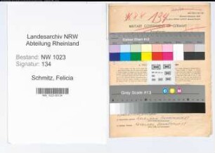 Entnazifizierung Felicia Schmitz , geb. 24.03.1903 (Lehrerin)