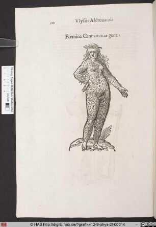 Foemina Cinnaminiae gentis