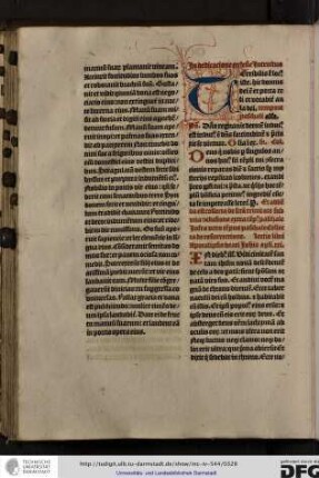 Introitus Terribilis est locus iste...