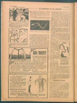 El feminismo en los animales