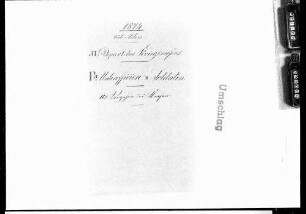 Unteroffiziere und Soldaten (1874)