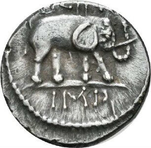 Inkuse Denarprägung des Q. Caecilius Metellus Pius Scipio mit Darstellung eines Elefanten