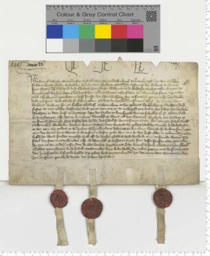 Bürgermeister Hinrik Viscule und der Bürger Clawes Semmelbecker, sowie der Ratsmann Clawes Gronehagen und der Bürger Ludeke Schomaker bekunden und besiegeln die Eheberedung des Clawes Schomaker und der Wobbeke Boltzen.