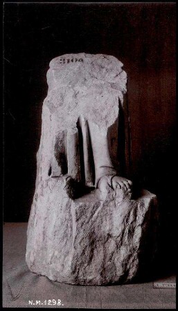 Fotografie. Unterschenkelfragment