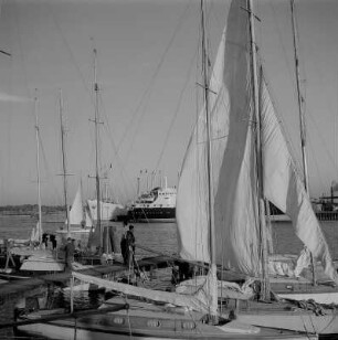 Stralsund. Hafen, im Vordergrund Segelschiffe, im Hintergrund andere Schiffe