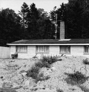Gutsgärtnereigelände: Bungalow: davor Bauschutthügel mit Sträuchern: hinten Bäume