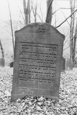 Jüdischer Friedhof (Friedhof, jüd.); Gründau, Kohlplatte
