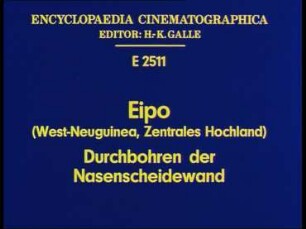 Eipo (West-Neuguinea, Zentrales Hochland) - Durchbohren der Nasenscheidewand