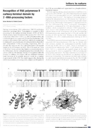 Recognition of RNA polymerase II carboxy-terminal domain by 3'-RNA processing factors