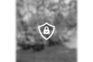 Deutscher Gewerkschaftsbund (DGB): Veranstaltung zum 1. [Name maskiert] der Arbeit): Bad Oldesloe: Bürgerpark: Naturbühne: Sitzbänke mit Zuschauern: 1. [Name maskiert]