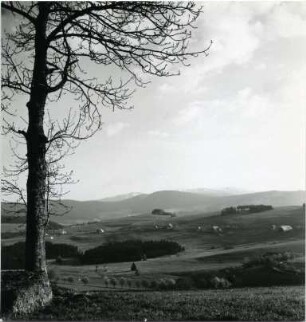 Im Hochschwarzwald