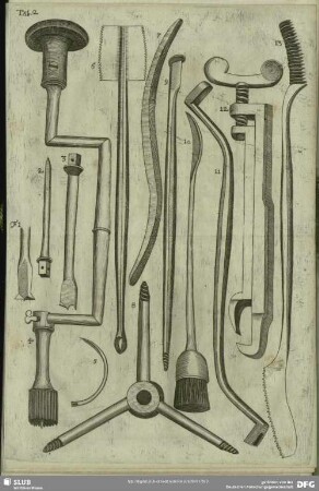 Tab. 2. Fig. 1 - 13