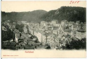 Karlsbad. Alte Wiese mit Hirschensprung