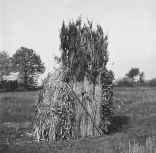 Familienbilder : Fotoversteck aus Schilf auf einer Wiese, Pfingsten 1932