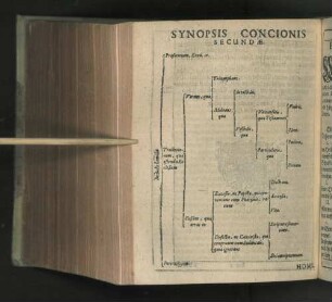 Synopsis Concionis Secundae