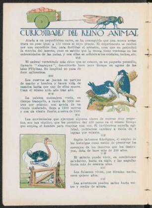 Curiosidades del reino animal
