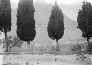 Blick auf Gaino : Blick auf die Ortschaft Gaino bei Toscolano Maderno. Im Vordergrund Zypressen.