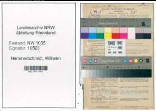 Entnazifizierung Wilhelm Hammerschmidt , geb. 17.11.1903 (Registrator)