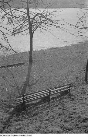 Eine leere Bank am Ufer der Zwickauer Mulde