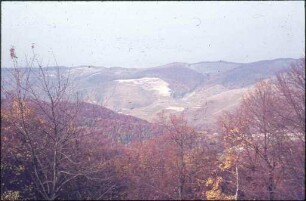 Totenkopf im Kaiserstuhl