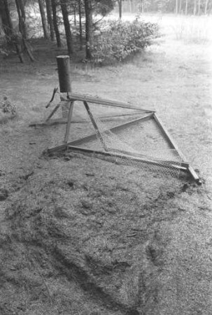 Ameisen-Schutzanlagen im Hardtwald