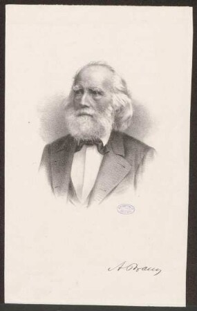 Braun, Alexander