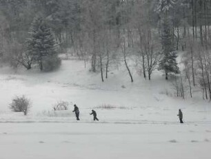 Sachsen-Anhalt, Kurort Friedrichsbrunn im Unterharz, Familie beim Langlauf auf gespurter Loipe