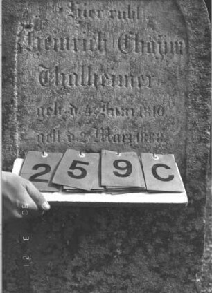 Grabstein 259 (Index: 100009241) Zustand: leicht verwittert Maße HxBxT: 102x48x23 cm: Grabstein 259C