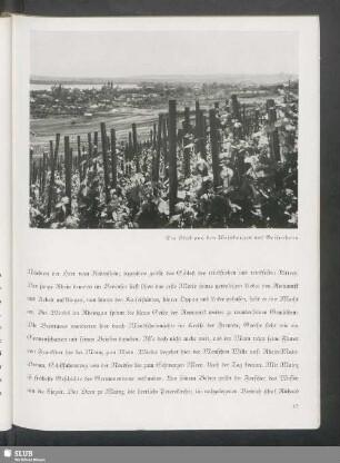Ein Blick aus den Weinbergen auf Geisenheim