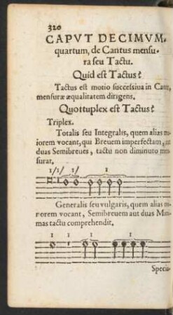 Caput Decimumquartum, de Cantus mensura seu Tactu.